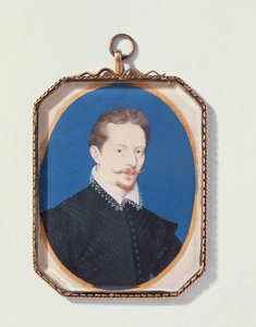 Sir Arundel Talbot, 1596